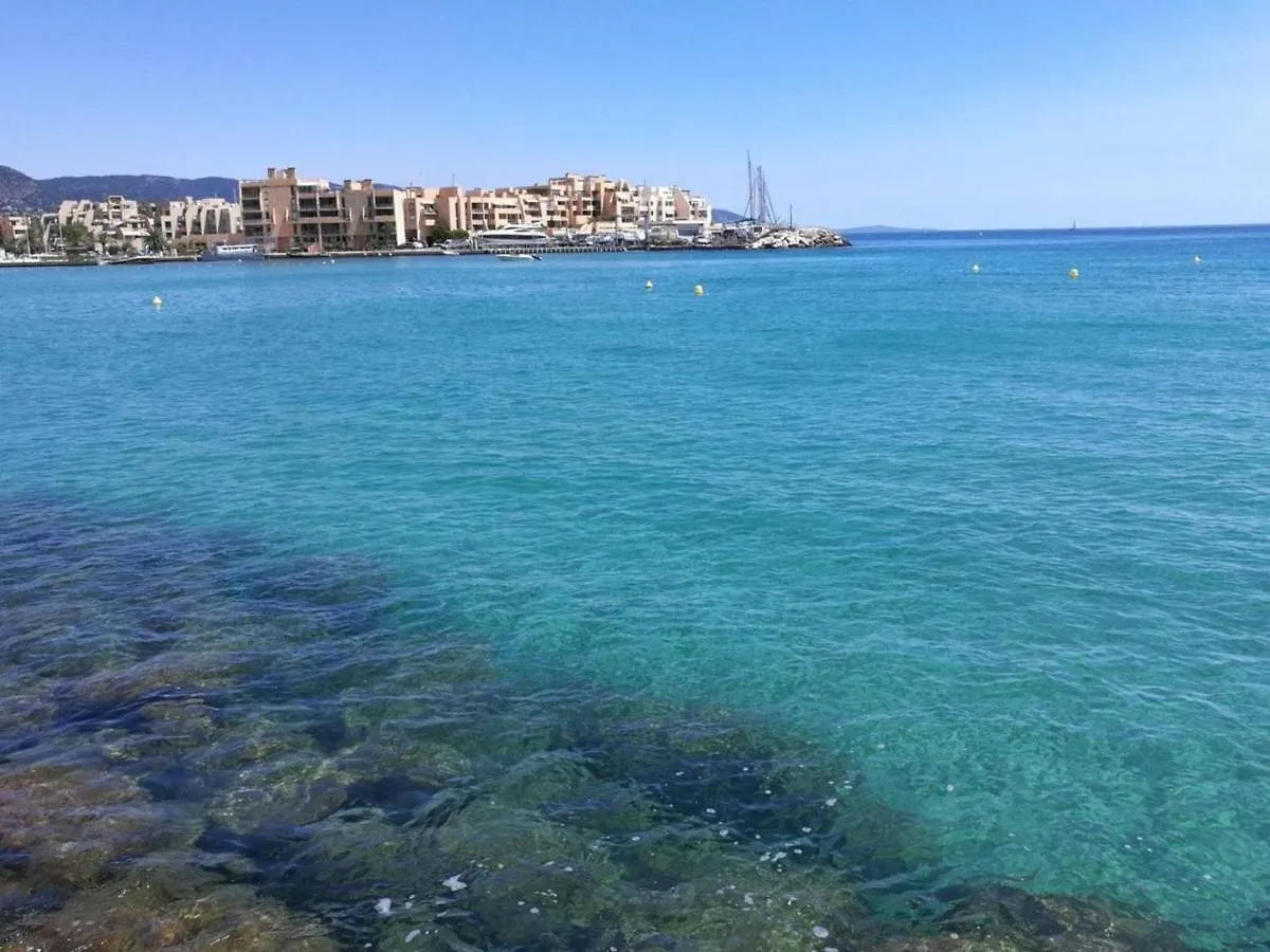 Studio A Bormes-Les-Mimosas Avec Terrasse, Piscine Et Parking A Proximite De La Plage - Fr-1-251-494 location